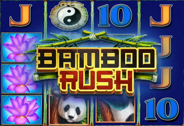 Icecasino.com: Platforma pro sloty, ruletu a karetní hry